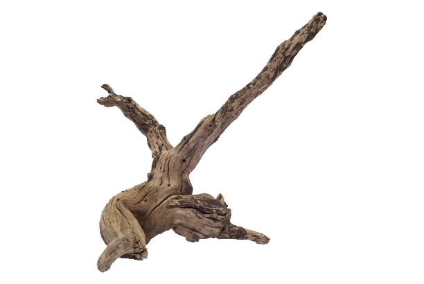 piece of-driftwood-isolated-on-white-background-picture-id1153695133